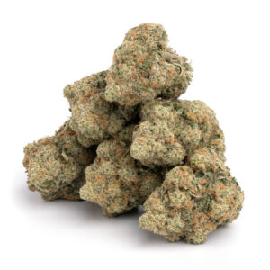 AK 47 strain