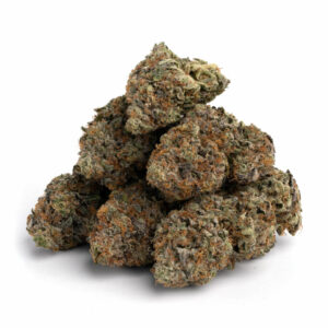 Alaskan Thunder Fuck strain