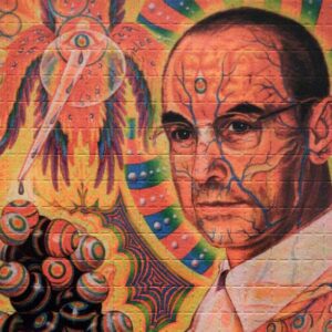 LSD Sheets