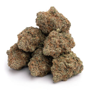 Black widow strain