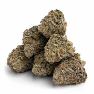 Buy Cherry Cookies strain Online