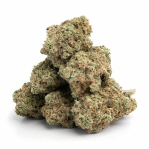 Girl Scout Cookies Strain